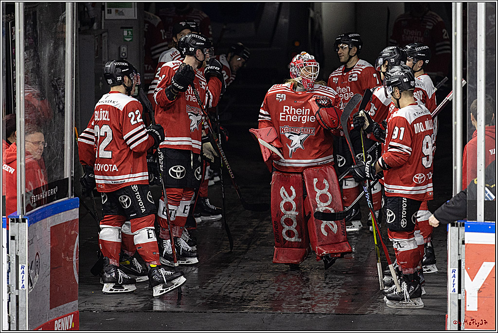 PENNY DEL;  Koelner Haie - Bietigheim Steelers; Koeln, 22.01.2023